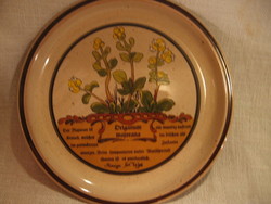 Collector botanical herb marjoram milk design plate