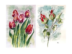 2 darab virág akvarell egyben - A/4 - tulipánok és rózsabimbók