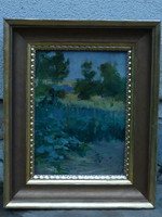 László violinist: at the beginning of summer oil, cardboard painting for sale