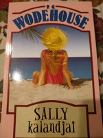 P. G. Woodhause: The Adventures of Sally, negotiable!