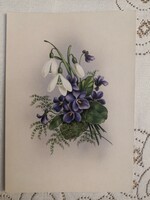 Snow flower and violet/graphics of Józsefné Hatvany/floral retro postcard 1989