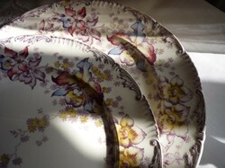 Antik fajansz tányér - Cauldon