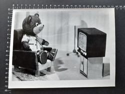 Tv teddy bear, evening story, large photo