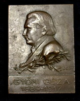 Kálmán Bődy (1885-1956) Fónyi gauze bronze plaque