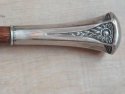 Umbrella with silver handle