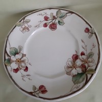 Villeroy & Boch porcelán tányér, vadrózsa mintával,