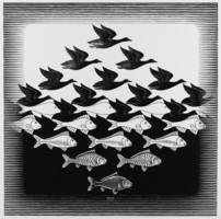 M. C. Escher graphics: sky and water i. Reprint print, space game illusion geometry transformation fish bird