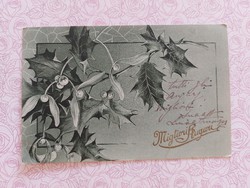 Old postcard 1915 postcard with mistletoe