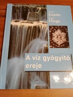 A víz gyógyító ereje  -  Masaru Emoto-Jürgen Fliege    5.800 Ft