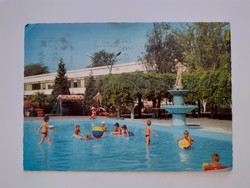 Retro postcard woodpecker beach photo postcard