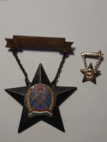 Excellent cancer Stakhanovist medal with mini