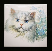 Kitten / feline tile chinchilla Persian