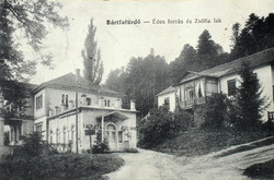 Bártfafürdő- Édes forrás és Zsófia lak /fagylalt jeges kávé  Neumann kiadás 1912