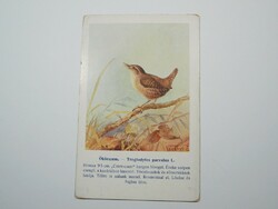 Régi képeslap levelezőlap - Ökörszem madár - Magyar Földrajzi Intézet kiadása 1910-es évek