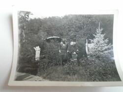 D193107 old photo - willow tree 1934