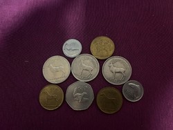 Nice Irish coins