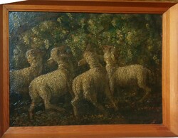 Bálint Árpád : Legelő bárányok