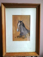 Akvarell- Szép ló "portré"