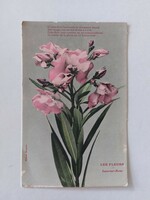 Old floral postcard postcard leander laurel rose