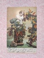 Régi képeslap 1904 fotó levelezőlap kislány gesztenyefa