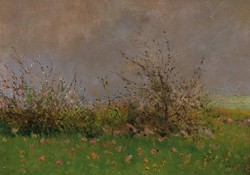 László Mednyánszky - flower meadow - reprint