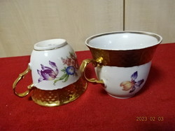 Tk thun Czechoslovakian porcelain coffee cup, two pieces, different patterns. Jokai.