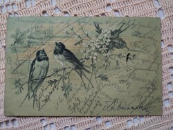 Antik/szecessziós litho/litográfiás képeslap, virágok, madár, fecske 1901