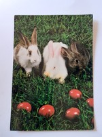 Retro Easter postcard with bunny photo postcard