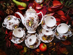 ​Johnson brothers autumn's delight transferware tea set for 6 people