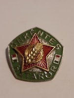 Volunteer border guard badge