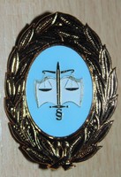 Police school badge (gilded) v1344