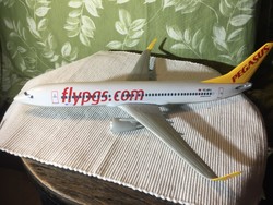 Boeing 737-800w airplane model, with its own box (79/1)