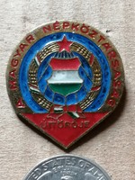 Pioneer - Pioneer badge