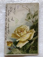 Antik Chatarina Klein litho virágos képeslap - 1906                 -3.