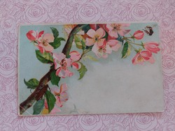 Old postcard postcard with beetles cherry blossom bee