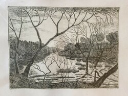 Zsuzsa Weisz: after the flood - etching