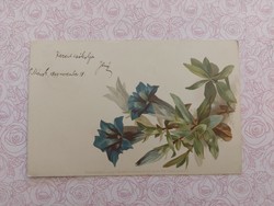 Régi képeslap 1899 virágos levelezőlap
