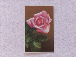 Régi virágos képeslap 1950 levelezőlap rózsa
