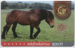 Magyar telefonkártya 0916  2003 Muraközi   GEM 7   150.000      db.