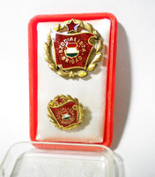 R462 socialist brigade gold grade medal socialist badge