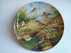Larger size 25.5 cm Bradex bird plate.
