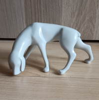 Rare! Höllóháza porcelain white-colored vizsla