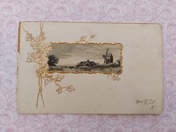 Régi képeslap 1901 dombornyomott levelezőlap tájkép növényminta