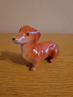 Aquincum dachshund dog