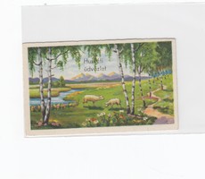 Húsvéti képeslap kicsi üdvözlő kártya postatiszta (1)