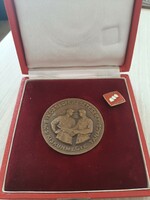 Bács-Kiskunmegye council for village development socialist bronze commemorative plaque with a badge