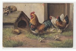 Húsvéti képeslap művészi postatiszta 1ö00 hosszúcímzéses "Baromfi udvari csetepaté"