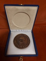 Emlékplakett, bronz, 277 gr, 8 cm, Cze '93 jelzéssel, Gróf Széchenyi György