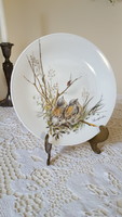 Gyönyörű madárkás,Seltmann Bavaria porcelán tányér,falidísz