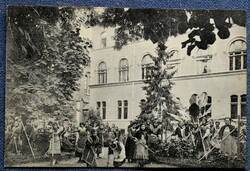 Timisoara Institute of School Nurses, Józsefváros - garden section